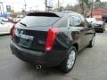 Black Raven - SRX 4 V6 AWD Photo No. 5