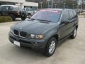 Highland Green Metallic - X5 3.0i Photo No. 1
