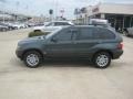 Highland Green Metallic - X5 3.0i Photo No. 2