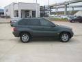 Highland Green Metallic - X5 3.0i Photo No. 6