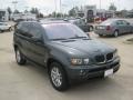 Highland Green Metallic - X5 3.0i Photo No. 7