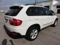 Alpine White - X5 3.0si Photo No. 9