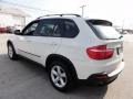Alpine White - X5 3.0si Photo No. 11