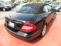 Black - CLK 350 Cabriolet Photo No. 11