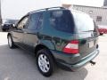 Cypress Metallic - ML 430 4Matic Photo No. 11