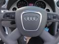 2009 Meteor Grey Pearl Effect Audi A4 2.0T Cabriolet  photo #39