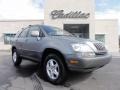 2002 Graphite Gray Pearl Lexus RX 300 AWD  photo #6