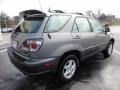 2002 Graphite Gray Pearl Lexus RX 300 AWD  photo #9