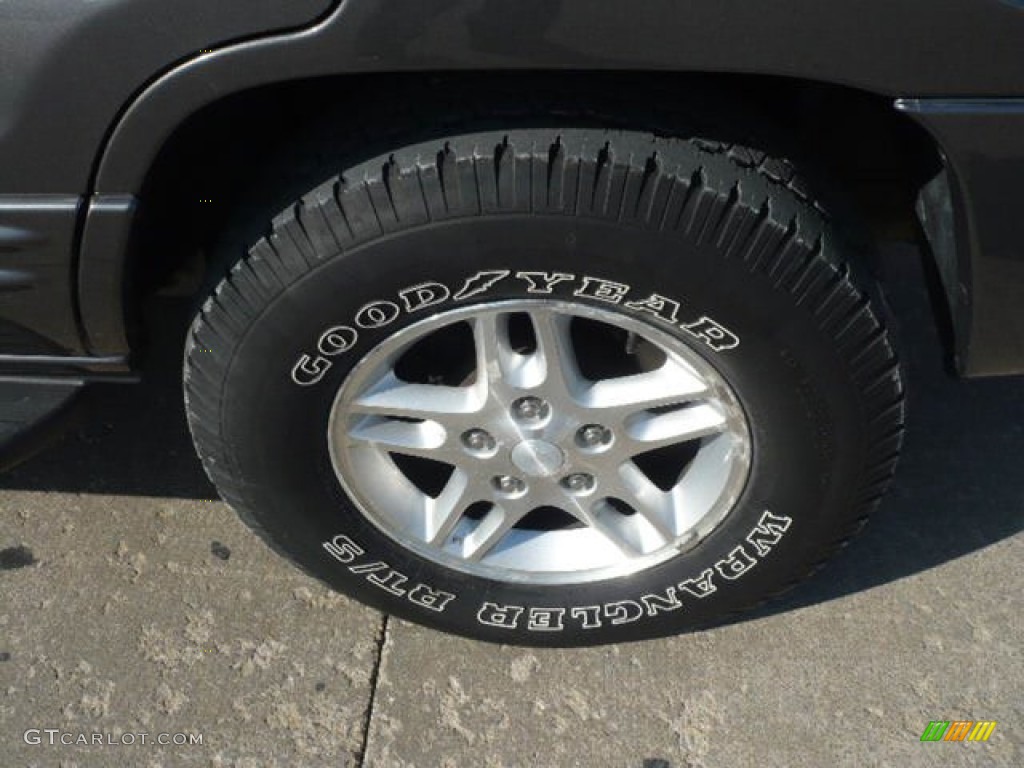 2004 Grand Cherokee Freedom Edition 4x4 - Graphite Metallic / Dark Slate Gray photo #12