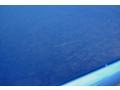 Bright Blue Metallic - New Beetle GLS TDI Coupe Photo No. 27