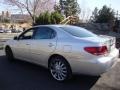 Classic Silver Metallic - ES 330 Photo No. 4