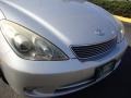 Classic Silver Metallic - ES 330 Photo No. 11
