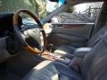 Classic Silver Metallic - ES 330 Photo No. 14