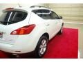 Glacier Pearl - Murano SL Photo No. 6