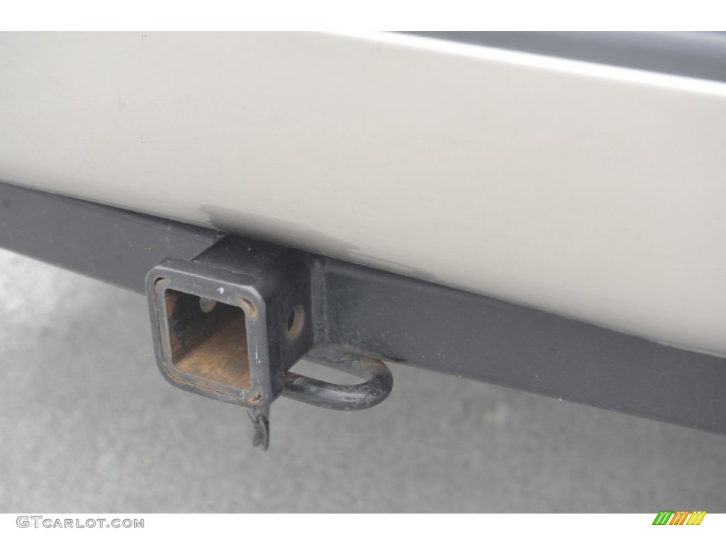2000 Land Cruiser  - Champagne Pearl / Oak photo #6