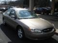 Arizona Beige Metallic - Taurus SES Photo No. 2