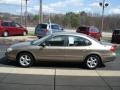 Arizona Beige Metallic - Taurus SES Photo No. 5