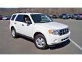 White Suede 2012 Ford Escape XLT V6 4WD Exterior