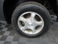 Graphite Metallic - TrailBlazer LS 4x4 Photo No. 28