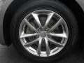 Platinum Graphite Gray - G 35 Sedan Photo No. 29