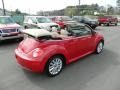 Salsa Red - New Beetle SE Convertible Photo No. 5