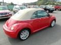 Salsa Red - New Beetle SE Convertible Photo No. 20