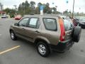 2004 Mojave Mist Metallic Honda CR-V LX  photo #3
