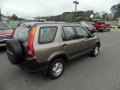2004 Mojave Mist Metallic Honda CR-V LX  photo #5