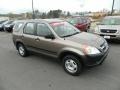 2004 Mojave Mist Metallic Honda CR-V LX  photo #7