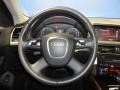 2009 Ice Silver Metallic Audi Q5 3.2 Premium quattro  photo #15