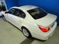 2010 Alpine White BMW 5 Series 535i xDrive Sedan  photo #35