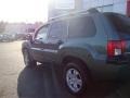 2004 Machine Green Metallic Mitsubishi Endeavor LS AWD  photo #4