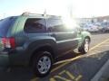 2004 Machine Green Metallic Mitsubishi Endeavor LS AWD  photo #7