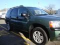 2004 Machine Green Metallic Mitsubishi Endeavor LS AWD  photo #9