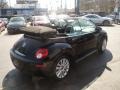 Black - New Beetle SE Convertible Photo No. 5