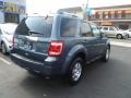 2010 Steel Blue Metallic Ford Escape Limited V6 4WD  photo #5