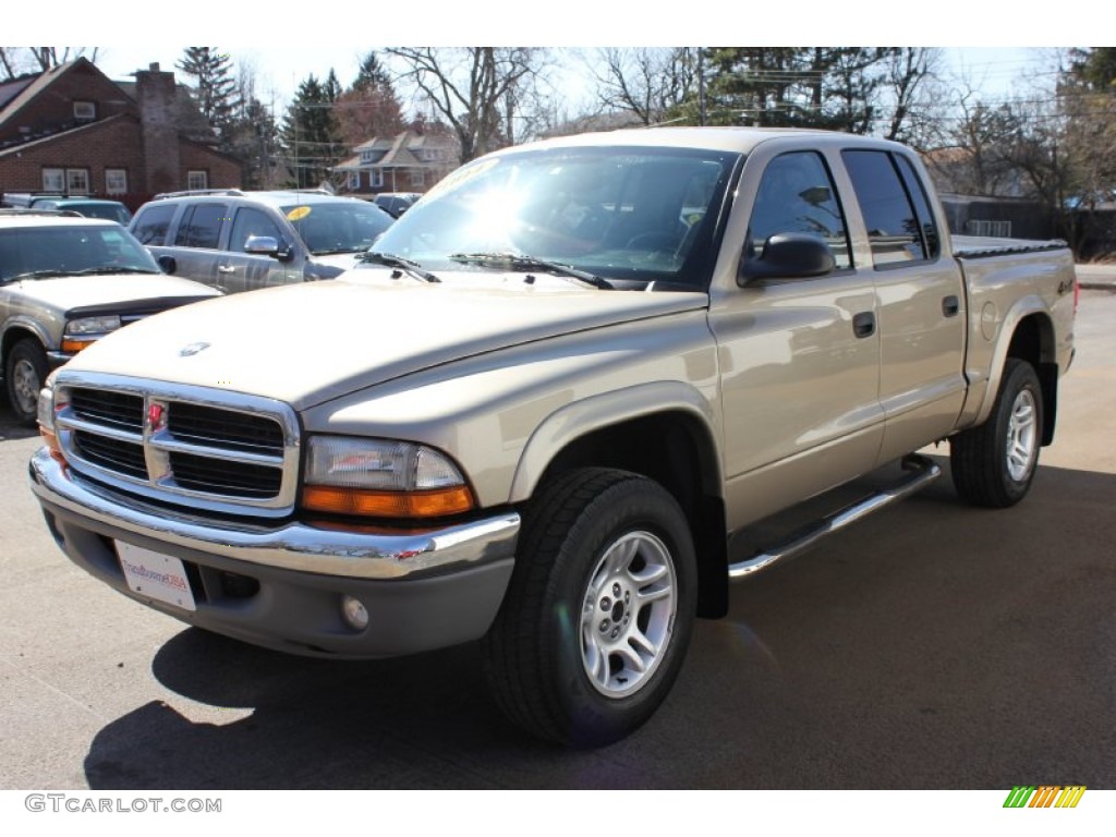 2004 Dakota SLT Quad Cab 4x4 - Light Almond Pearl Metallic / Dark Slate Gray photo #1