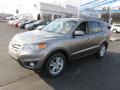 2012 Mineral Gray Hyundai Santa Fe Limited V6  photo #4