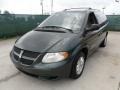 Shale Green Metallic - Grand Caravan Sport Photo No. 7