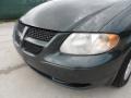 Shale Green Metallic - Grand Caravan Sport Photo No. 9