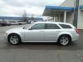 Bright Silver Metallic - Magnum R/T Photo No. 2