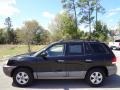 2006 Black Obsidian Hyundai Santa Fe Limited 4WD  photo #2