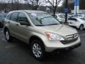 2009 Borrego Beige Metallic Honda CR-V EX 4WD  photo #3