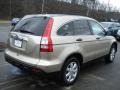 Borrego Beige Metallic - CR-V EX 4WD Photo No. 5