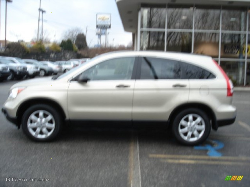 2009 CR-V EX 4WD - Borrego Beige Metallic / Ivory photo #8