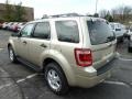 2012 Gold Leaf Metallic Ford Escape XLT V6 4WD  photo #4