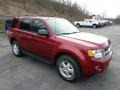 Toreador Red Metallic 2012 Ford Escape XLT V6 4WD Exterior