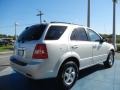 Bright Silver - Sorento LX Photo No. 5