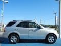 Bright Silver - Sorento LX Photo No. 6