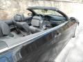 2009 Jet Black BMW 3 Series 335i Convertible  photo #37